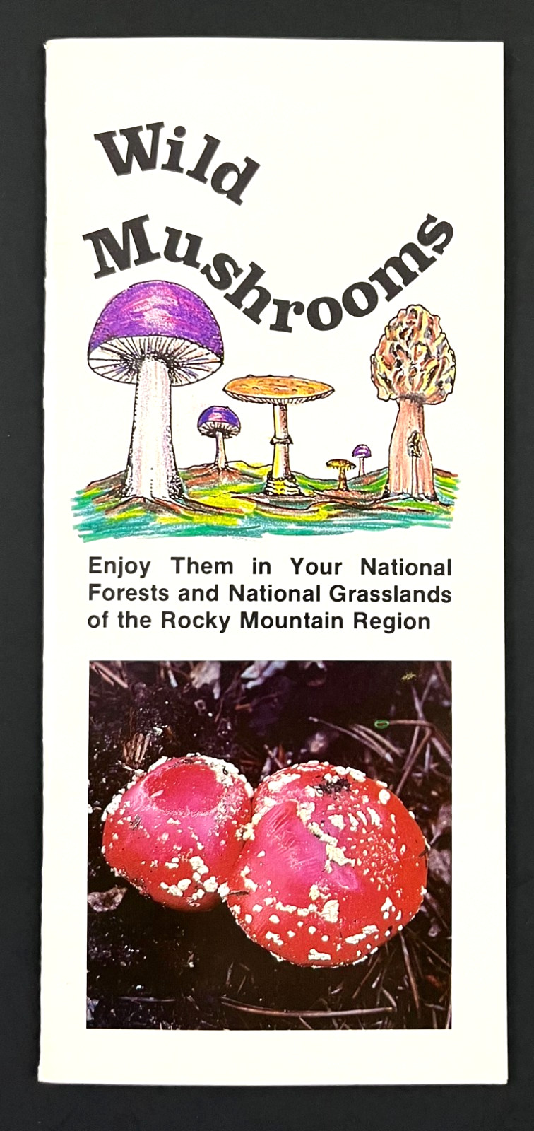 1979 Wild Mushrooms Guide Rocky Mountains National Park Vintage Travel Booklet