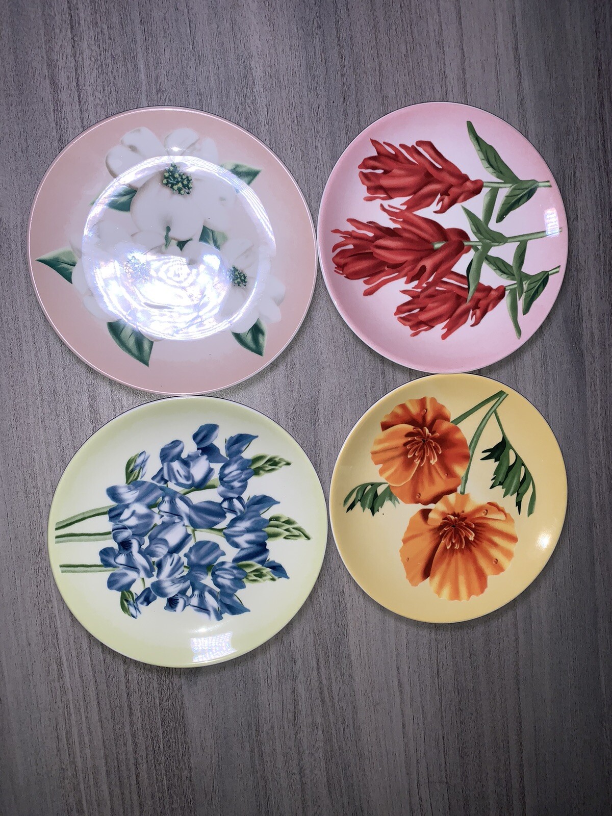 YOSEMITE FLORAL DESSERT PLATES: SET OF 4 YOSEMITE DNC PARKS AND RESORTS 6” NIB
