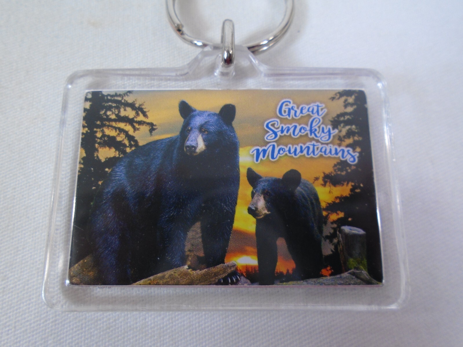 Great Smoky Mountains National Park Black Bear & Cub Keychain Souvenir Ring Fob