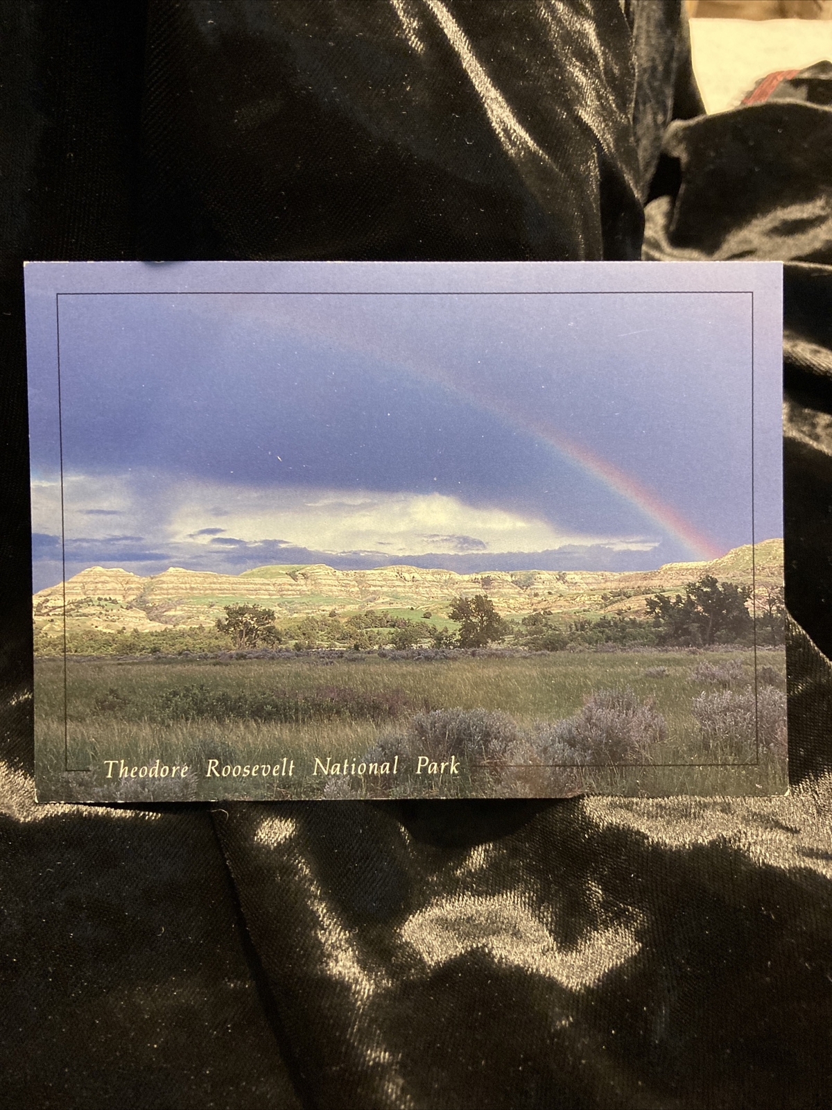 Vintage Theodore Roosevelt National Park Postcard Unposted RPPC