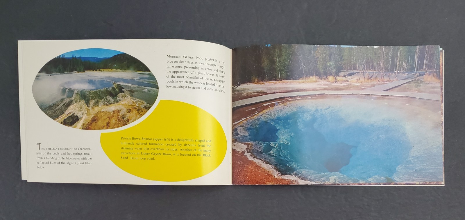 1960s Wyoming WY Yellowstone National Park Vintage Photo Travel Booklet Tourist