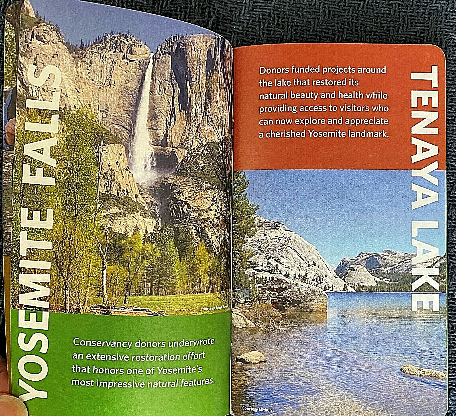 Rare 2020 Yosemite Conservancy Membership Guide & Passport Unused