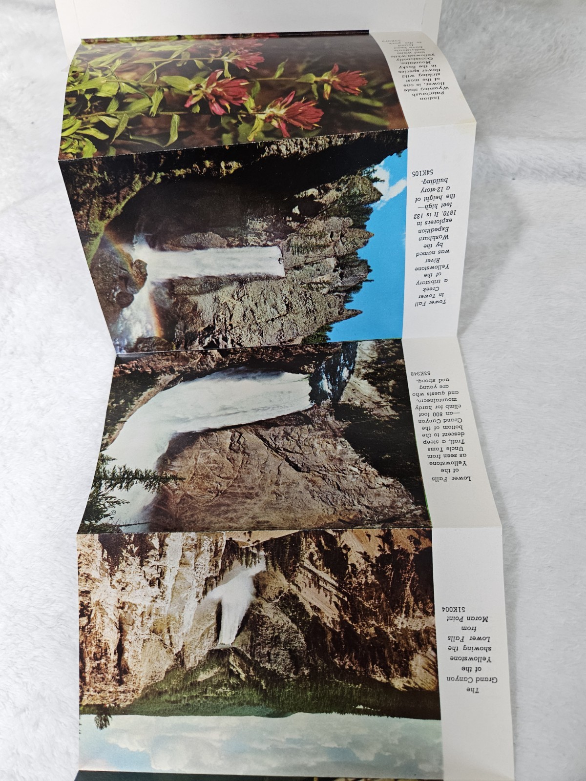 YELLOWSTONE NATIONAL PARK 1957 “PICTURAMIC” Unused Post Card With Photos