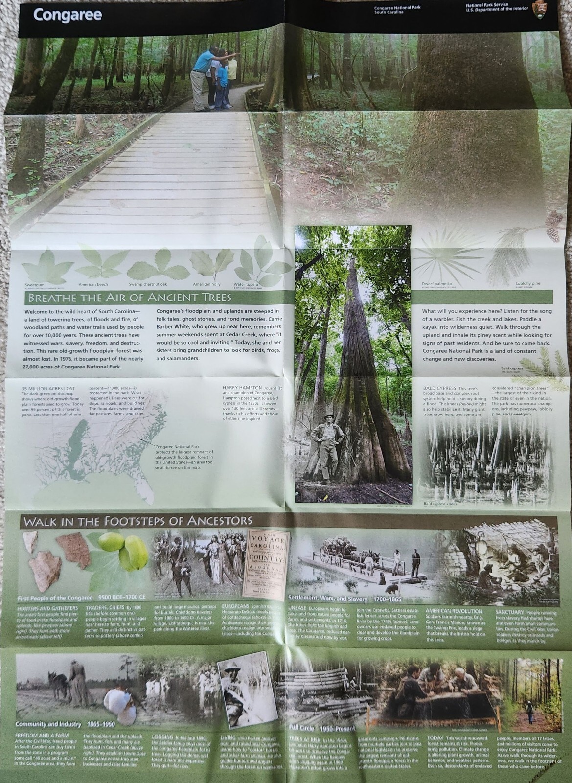Congaree National Park Brochure