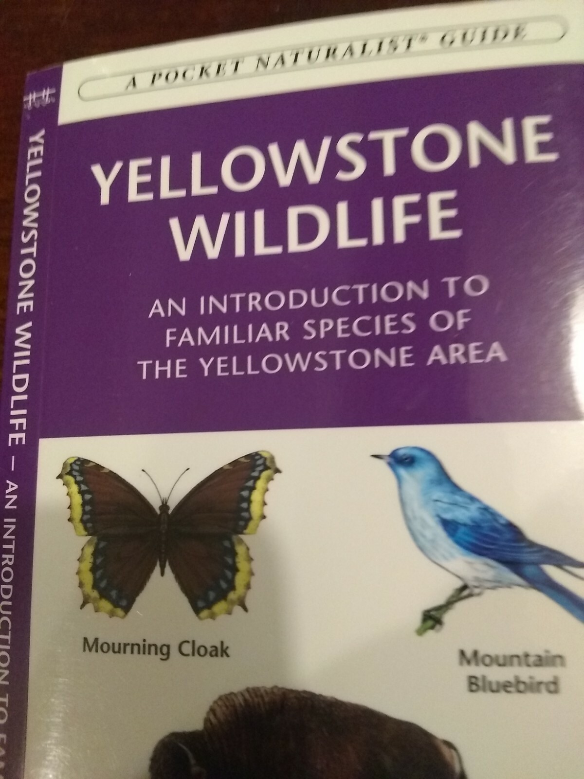YSN Park 100 Mile Hiking Club T Shirt With Hiking Club book,Map & Magazine.
