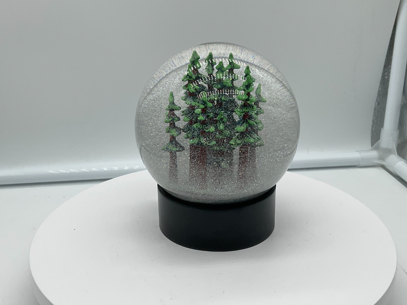 Redwood Forest California Fog Globe National Parks Conservancy Award Winner NIB
