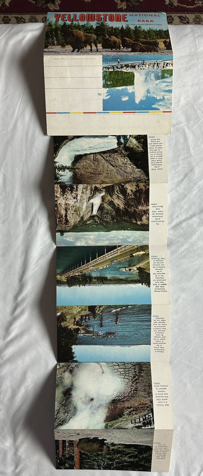 1957 Yellowstone National Park Picturamic Color Photographs With Bio Very Cool