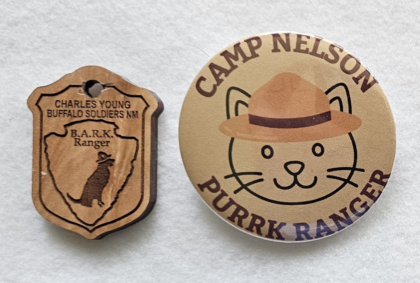 Charles Young Buffalo Soldiers NM wood bark & Camp Nelson Purrk pin ranger tags
