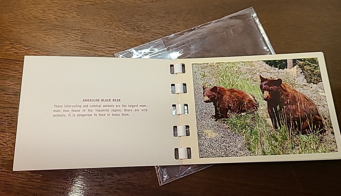 Vtg Yosemite National Park Color Album Prints 1953/Photo Guide 1955/Pers. Photos