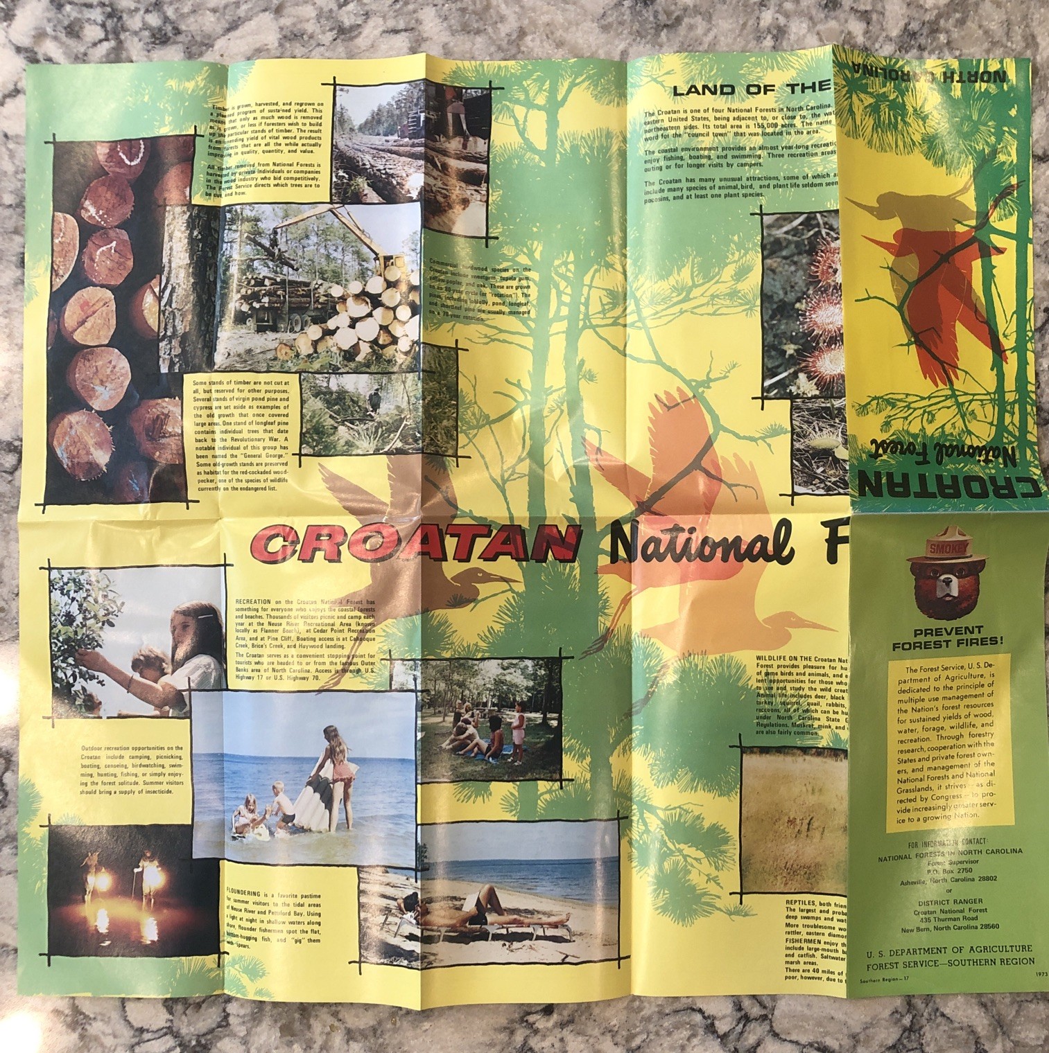 Vintage Croatan National Forest Map 1973 USDA Forest Service • 20”x18”