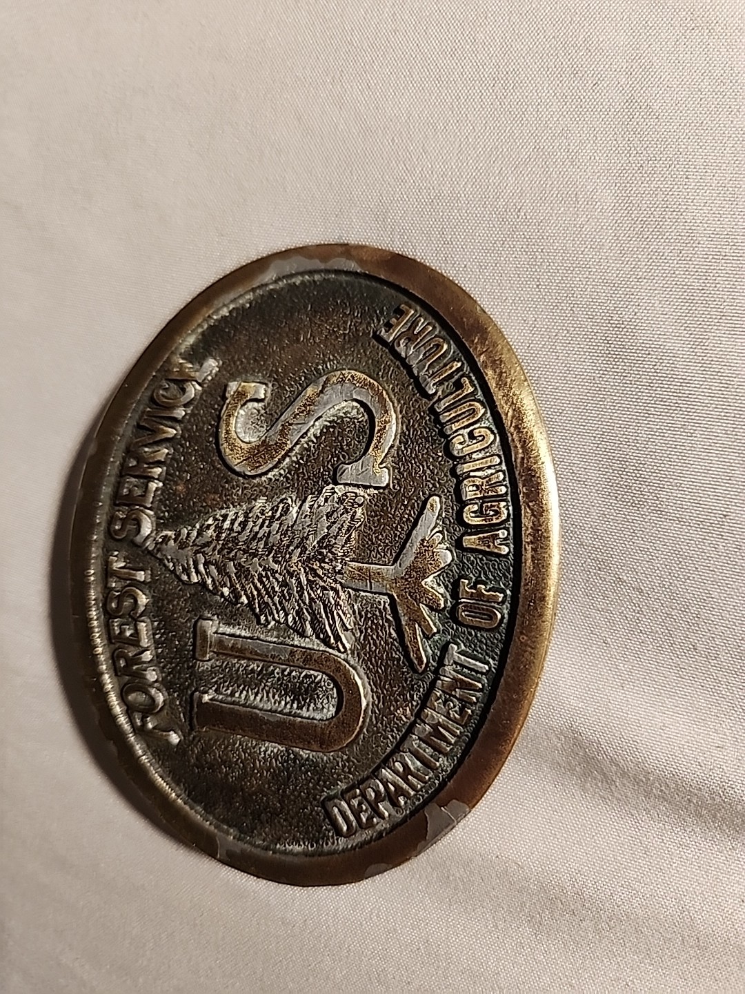 US Forest Service Dept of Agricuure 1976 Belt Buckle Solid Brass Wyoming