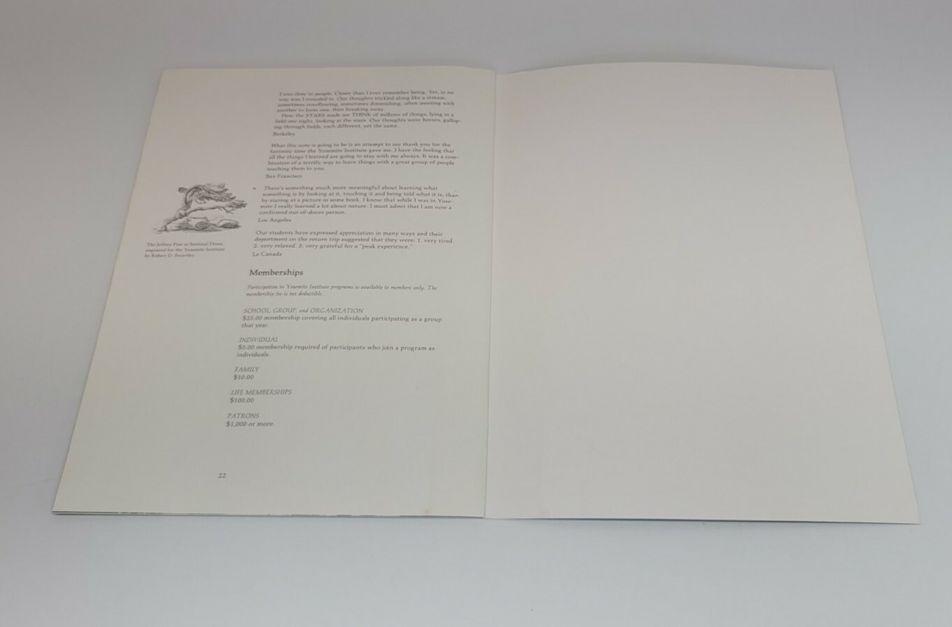 1975 Vintage Yosemite Institute Catalog / Brochure – National Park – Ansel Adams