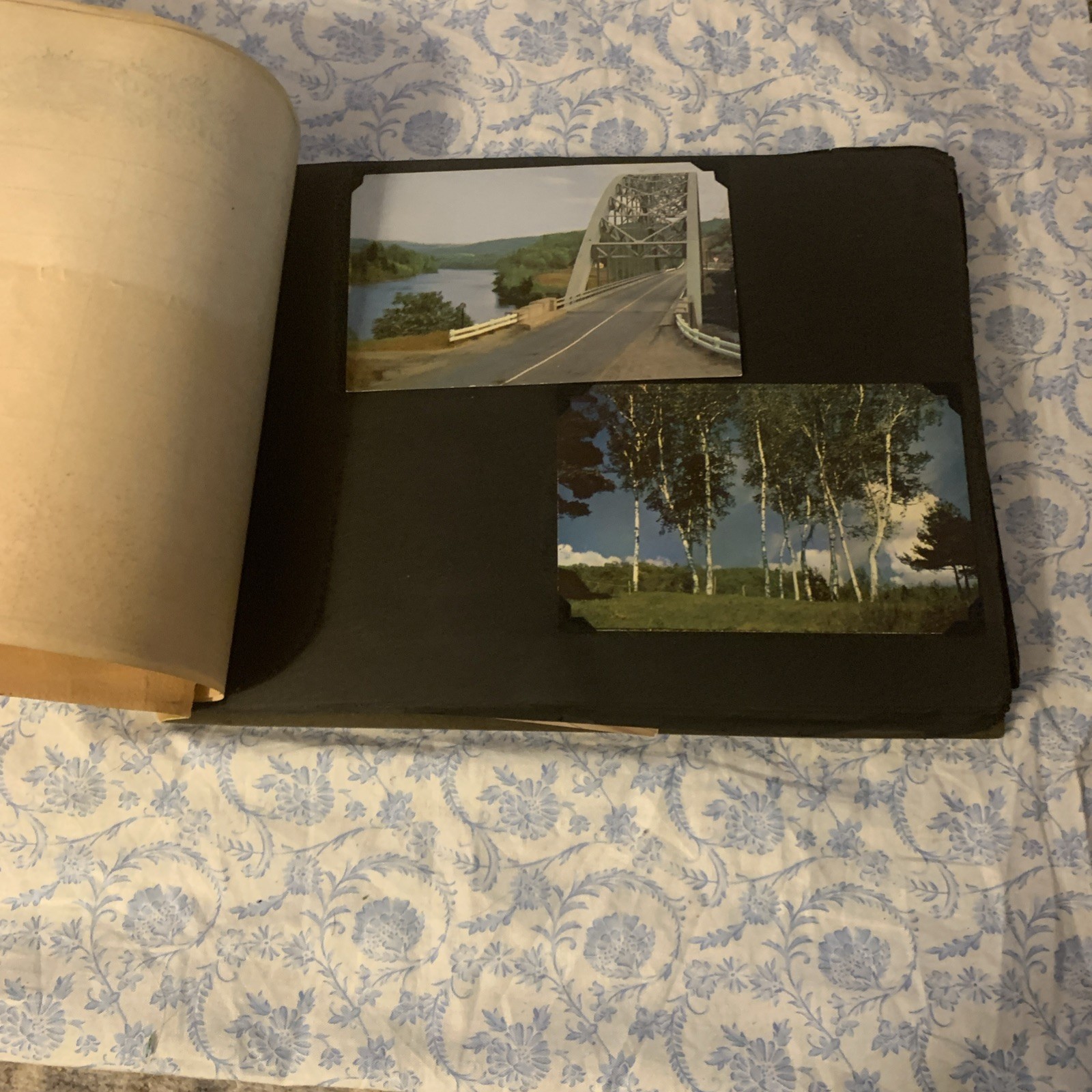 Yellowstone National Park & Western Trip Leather Photo Album W/RPC’s
