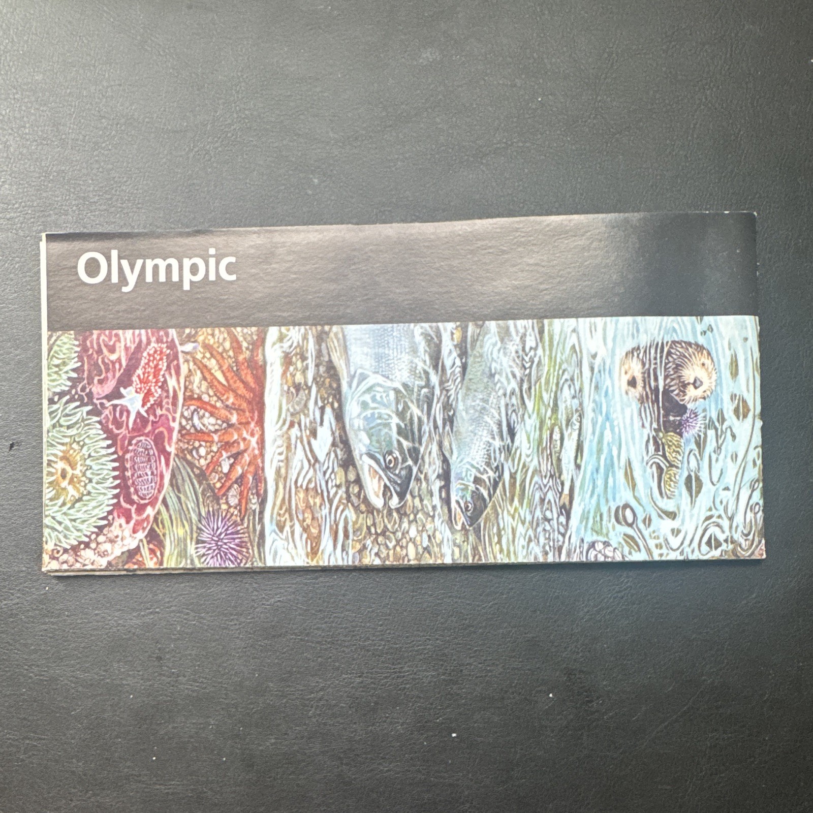 Olympic National Park Map