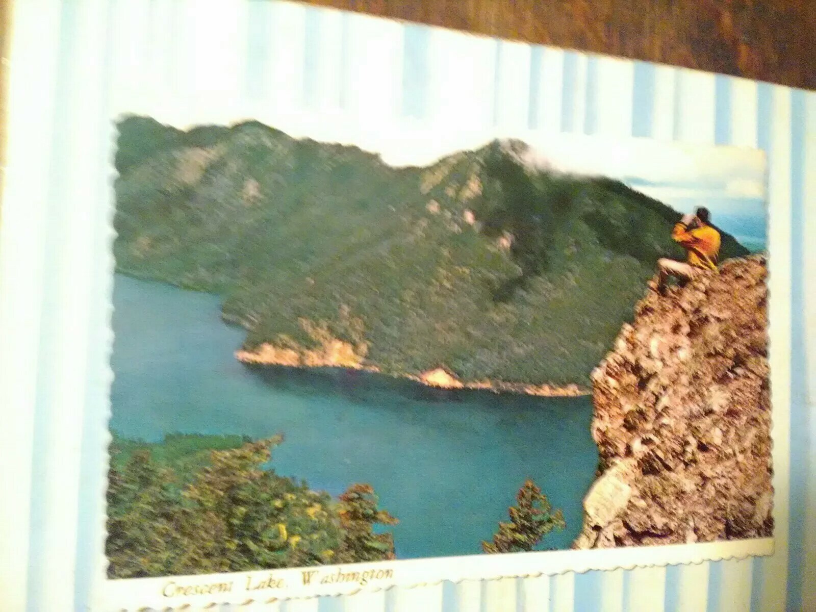 VINTAGE POST CARD AERIAL VIEW CRESCENT LAKE WASHINGTON