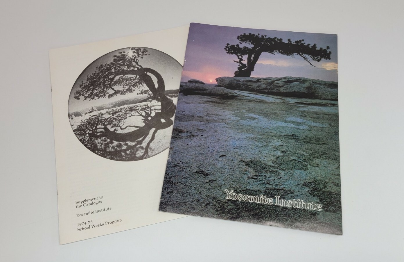 1975 Vintage Yosemite Institute Catalog / Brochure – National Park – Ansel Adams