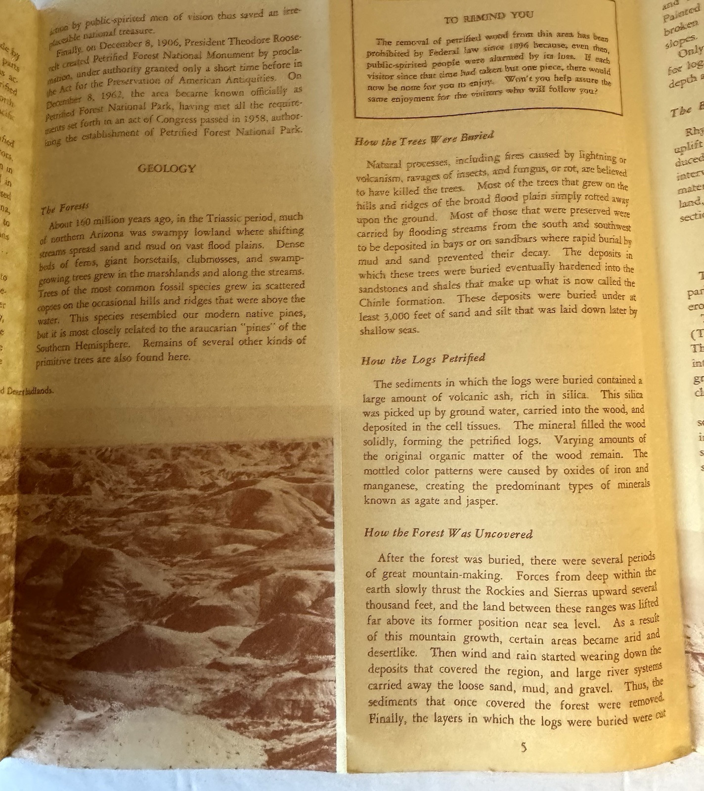 Vintage 1963 The Petrified Forrest National Park Arizona Travel Brochure