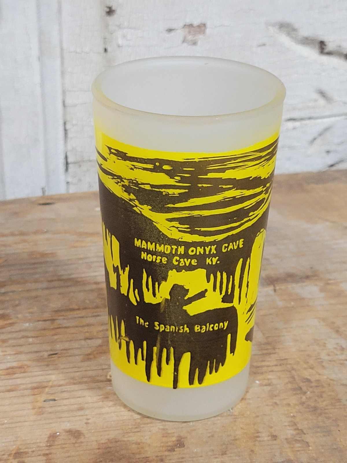 Vintage Mammoth Onyx Cave Kentucky KY Frosted Glass Souvenir Tumbler Horse