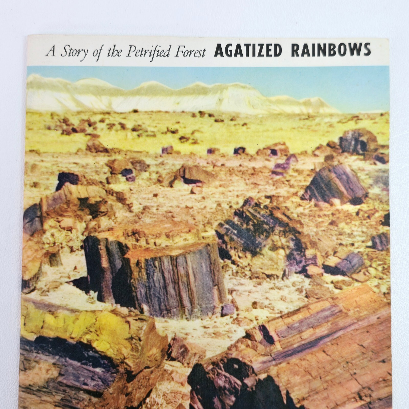 1951 A Story of The Petrified Forest Agatized Rainbows Popular Series No. 3 Book