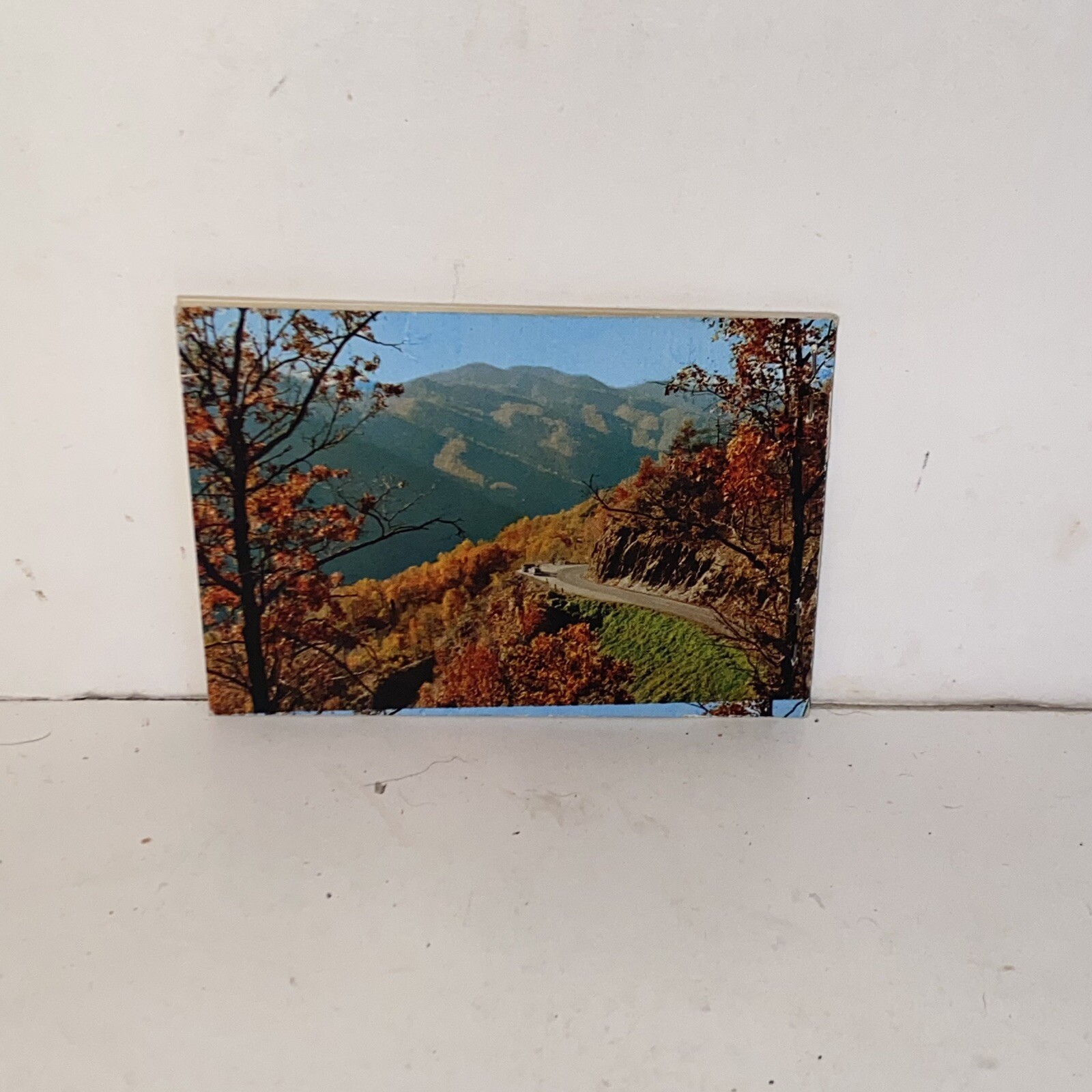 Vintage Great Smoky Mountains National Park Souvenir Color Photo Picture Book