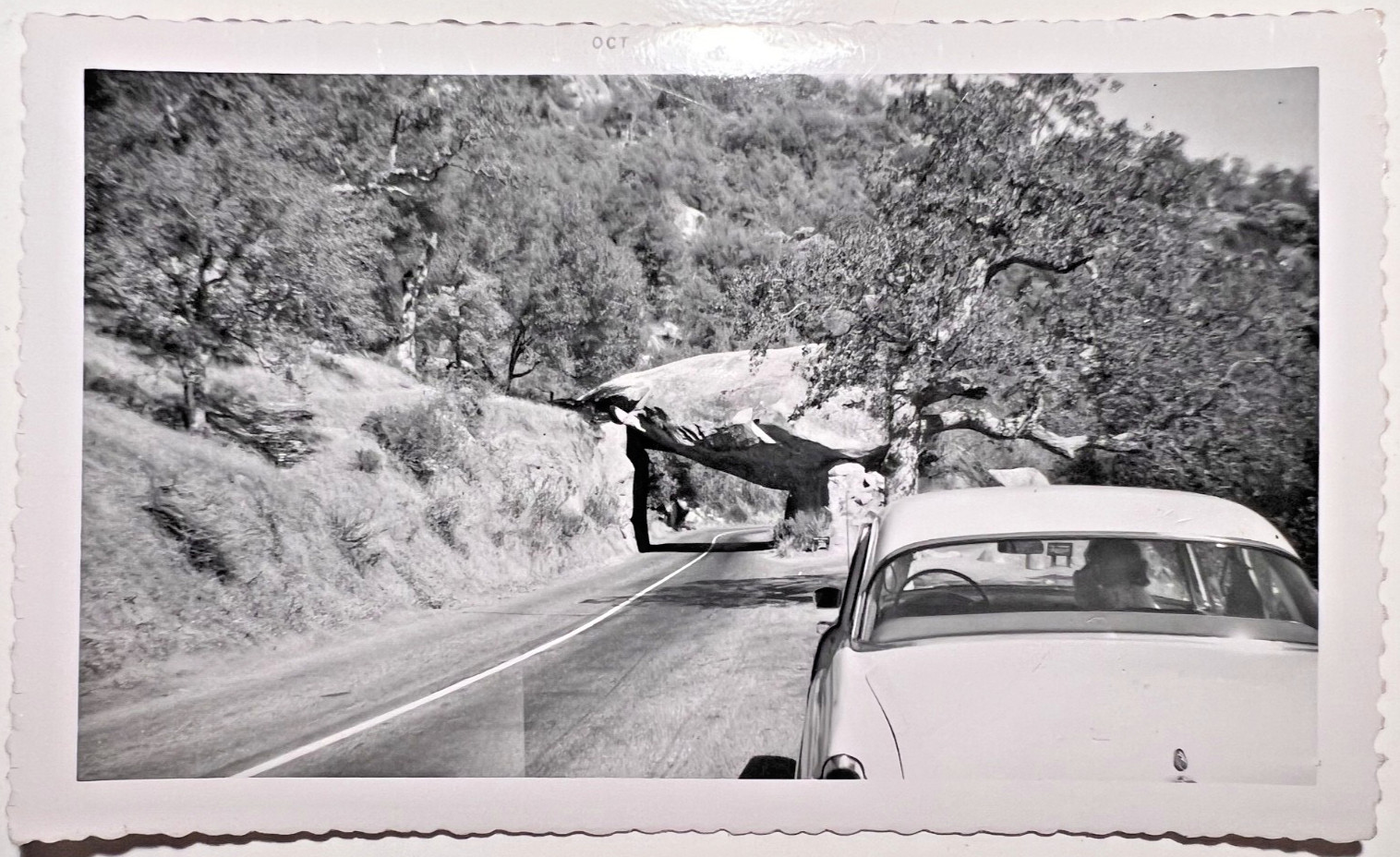 Sequoia National Park TUNNEL ROCK 1955 Original Photo GENERALS HWY History 9E