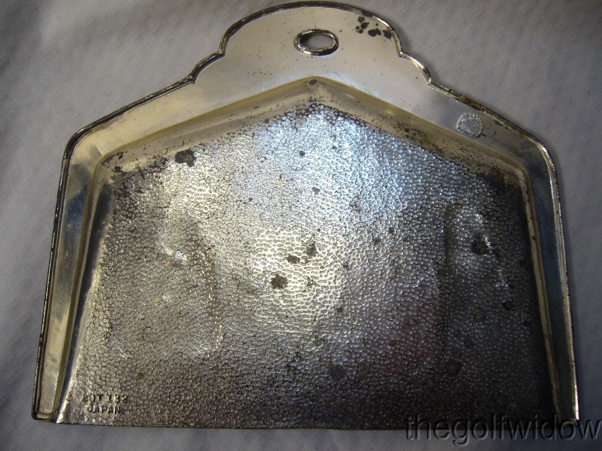Vintage Grand Canyon National Park Table Crumb Pan Made in Japan UMC