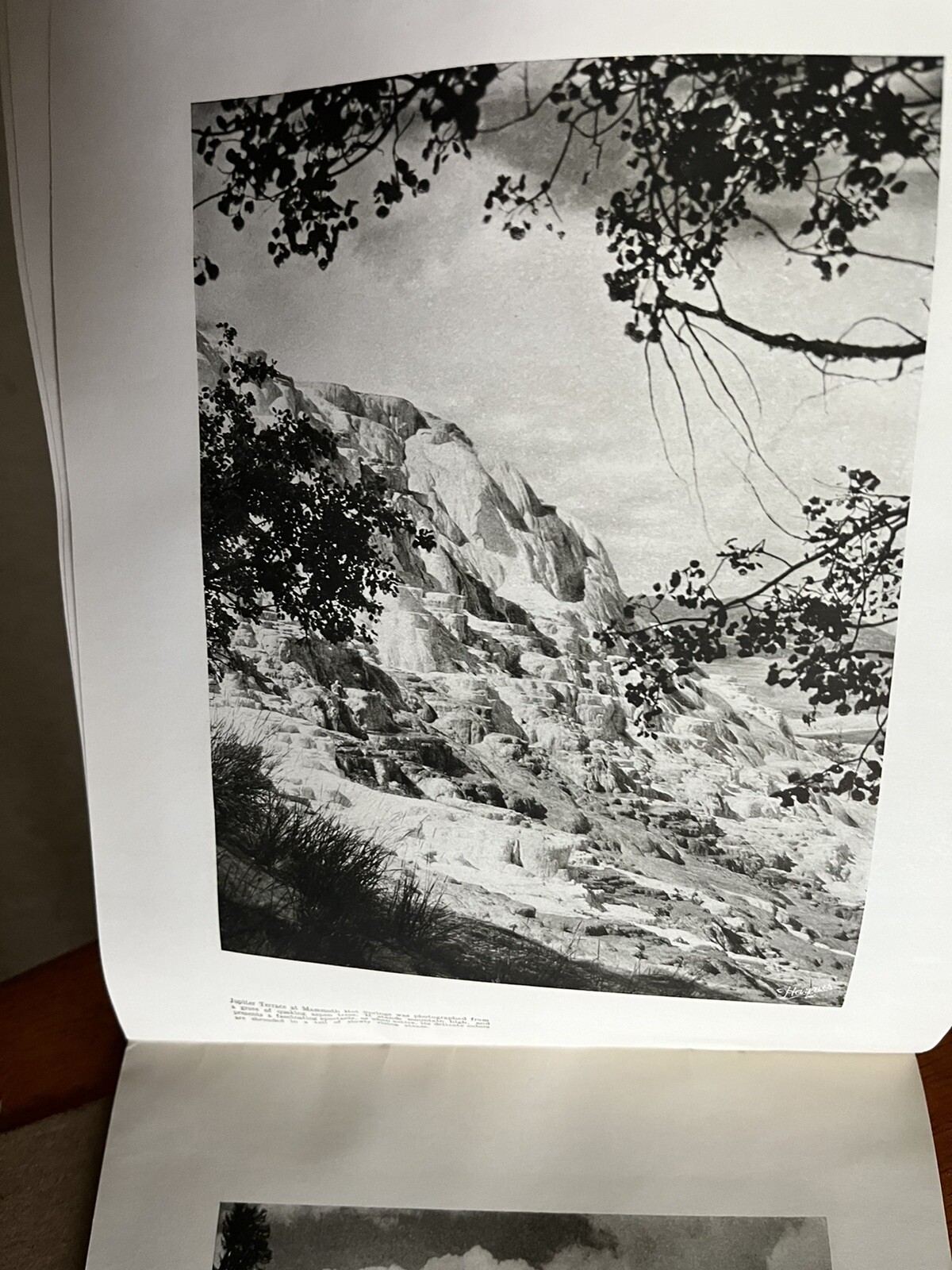 Vintage 1940 Hayne ‘ s Souvenir Album Yellowstone National Park B&W Photo Album