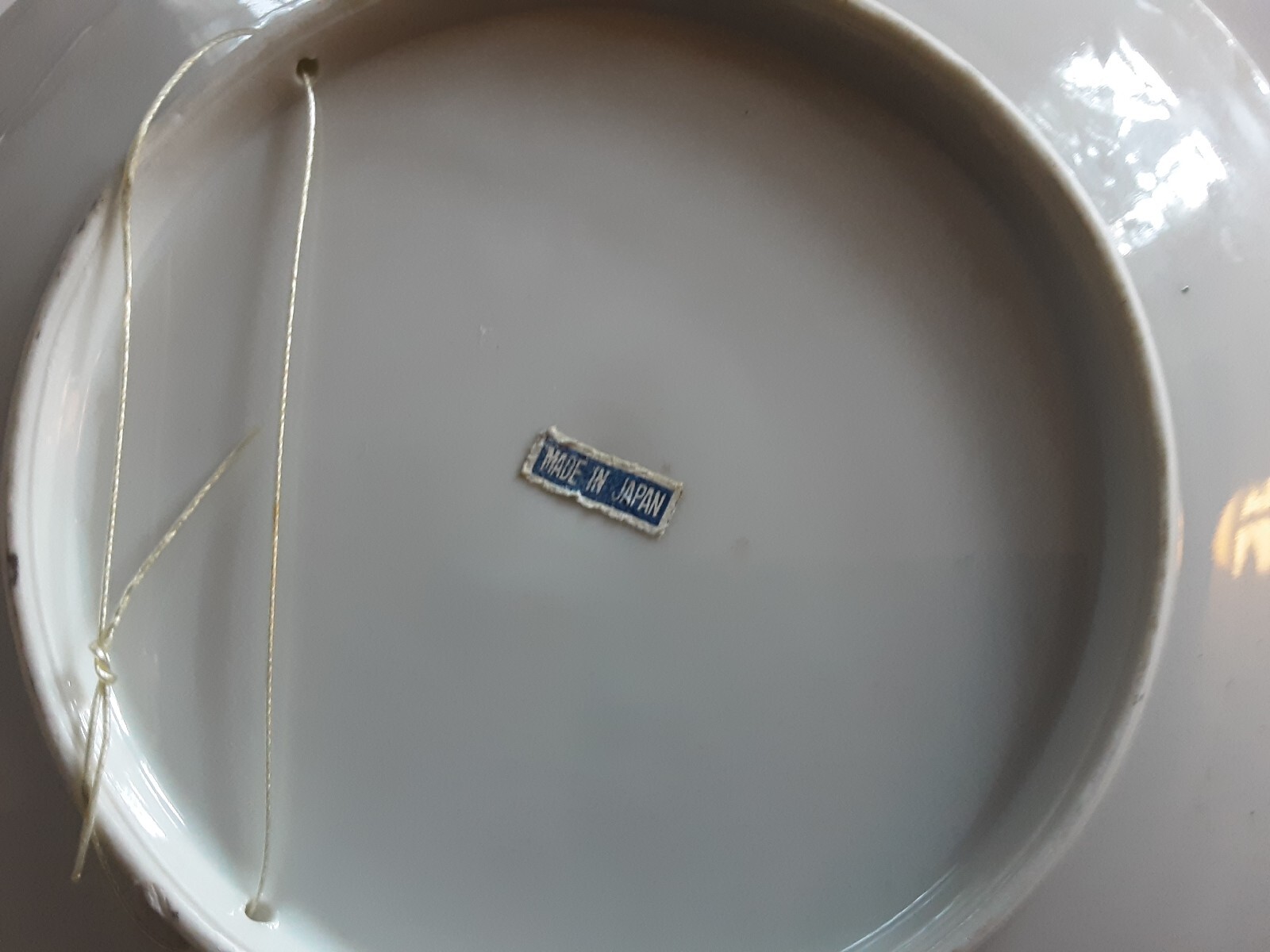 Vintage Painted Yellowstone Park Souvenir Collectors Plate Japan