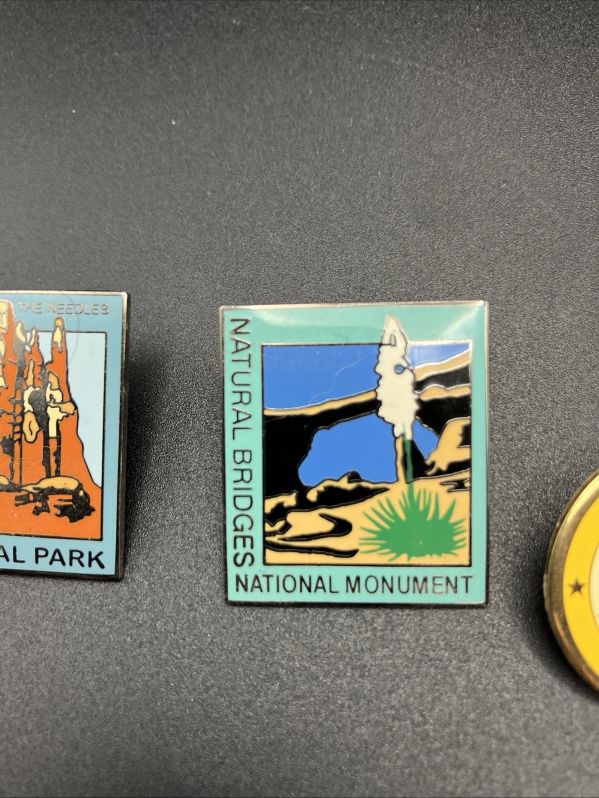 Various National Park Souvenir Lapel Pin