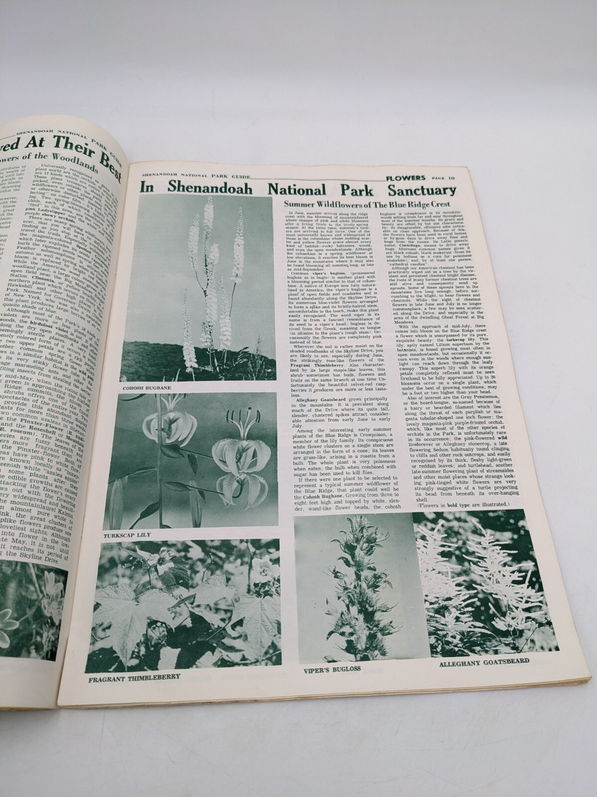 Shenandoah National Park Guide Maps/Info Vintage 50 Cents 1968 Edition