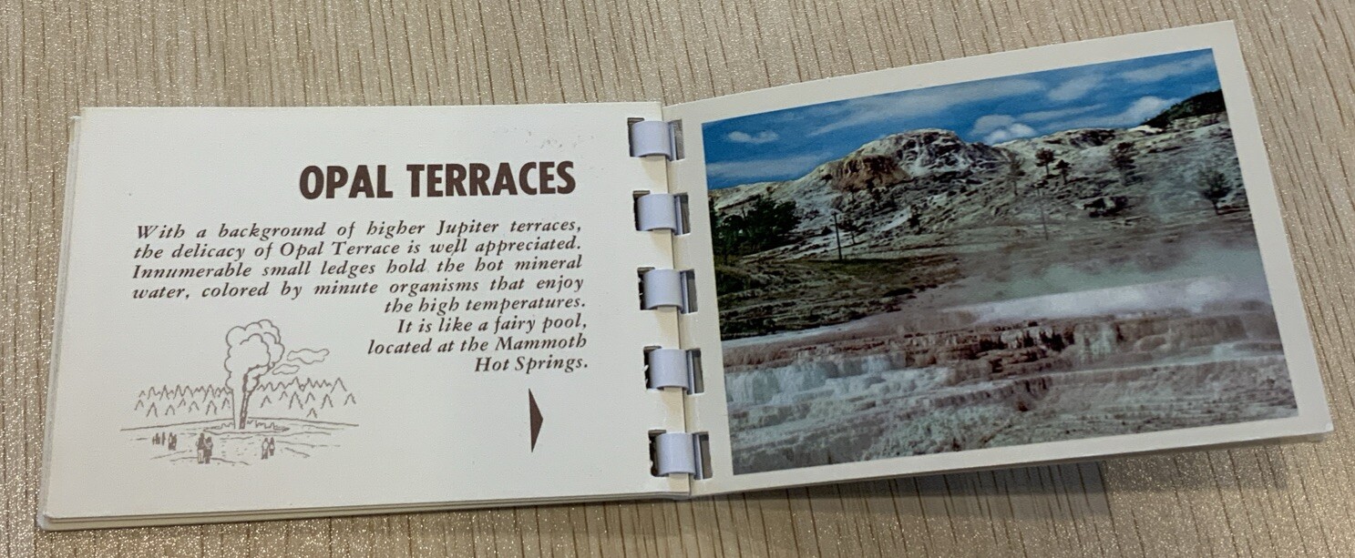Vintage 1970’s Yellowstone National Park 10 Album Print Mini Book -All In Color