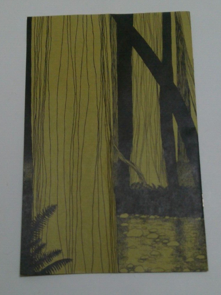 Vintage Redwood Creek Nature Trail Muir Woods National Monument Pamphlet 1974
