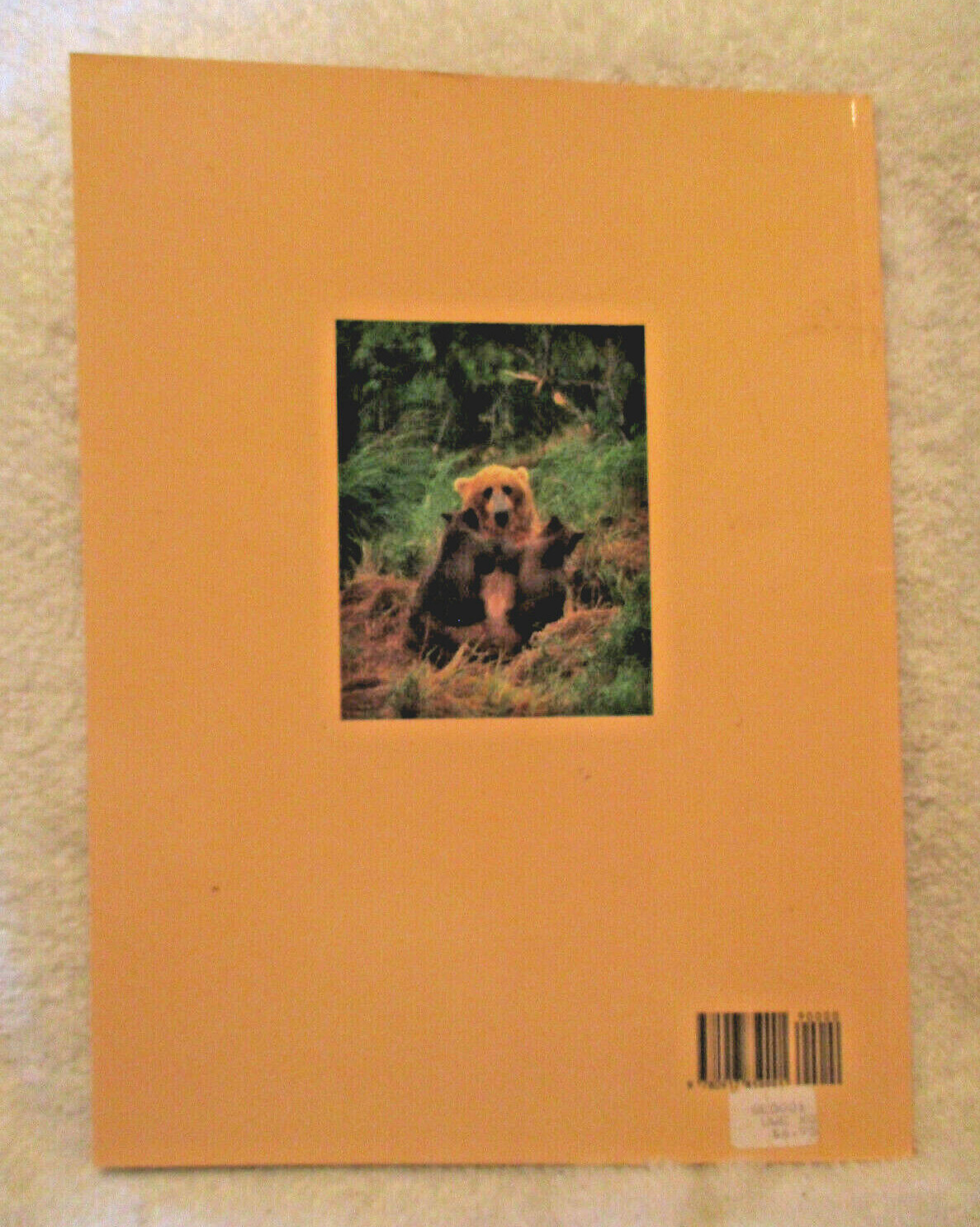 Yellowstone National Park~1989~1st Printing~Soft Cover