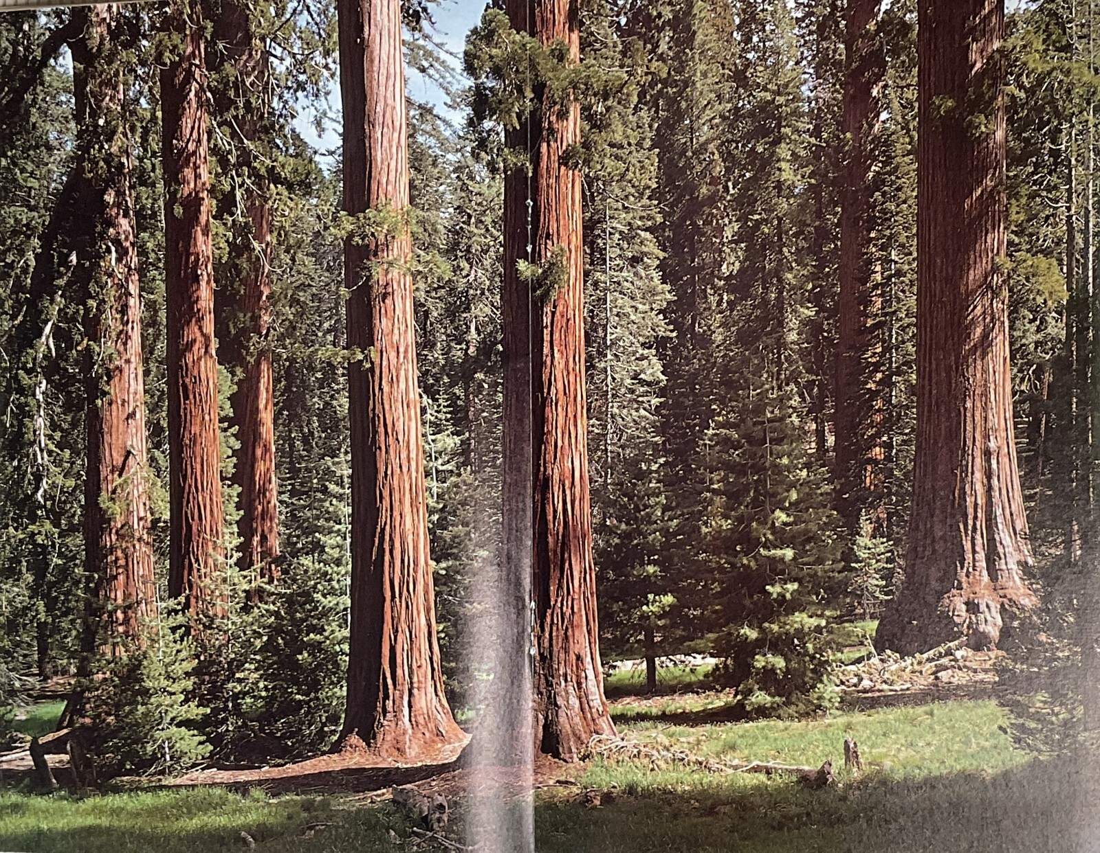 1970 Yosemites Famous Guests by Shirley Sargent & The Sequoias of Yosemite Park