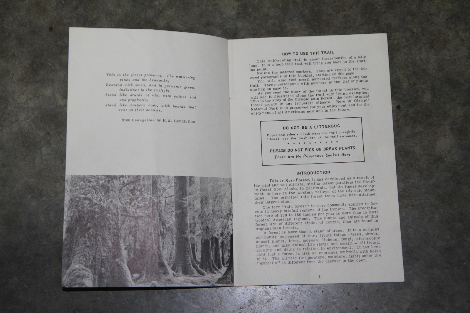 Original 1962 Rain Forest Nature Trail booklet, Olympic National Park