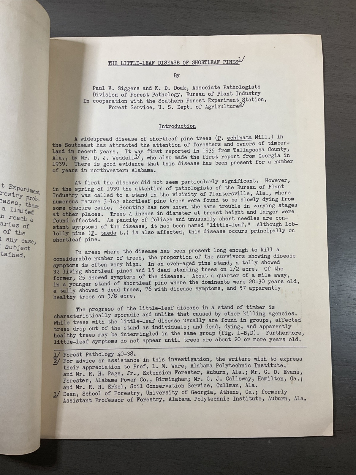 9 Oct 1940 Southern Forest Experiment Station New Orleans La Shortleaf Pines B27