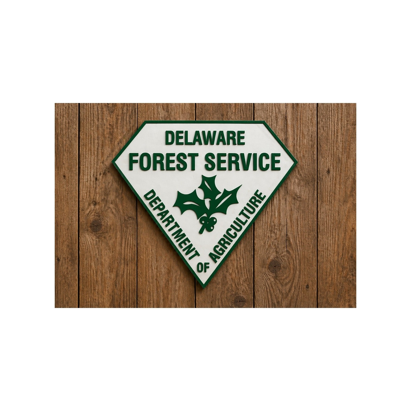 Delaware Forest Service Sign Department of Agriculture Hike Trail Hunt Fish DNR