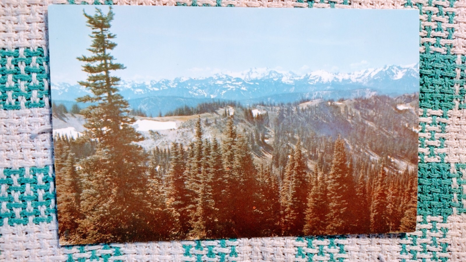 VINTAGE POST CARD SNOWY OLYMPIC MOUNTAINS STATE OF WASHINGTON