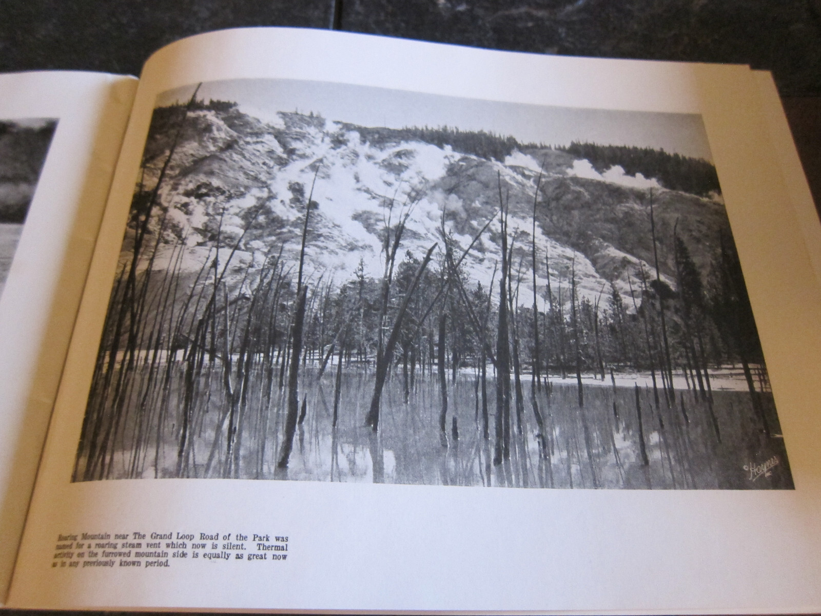1940 Haynes Souvenir Album Of Yellowstone National Park Photo Booklet