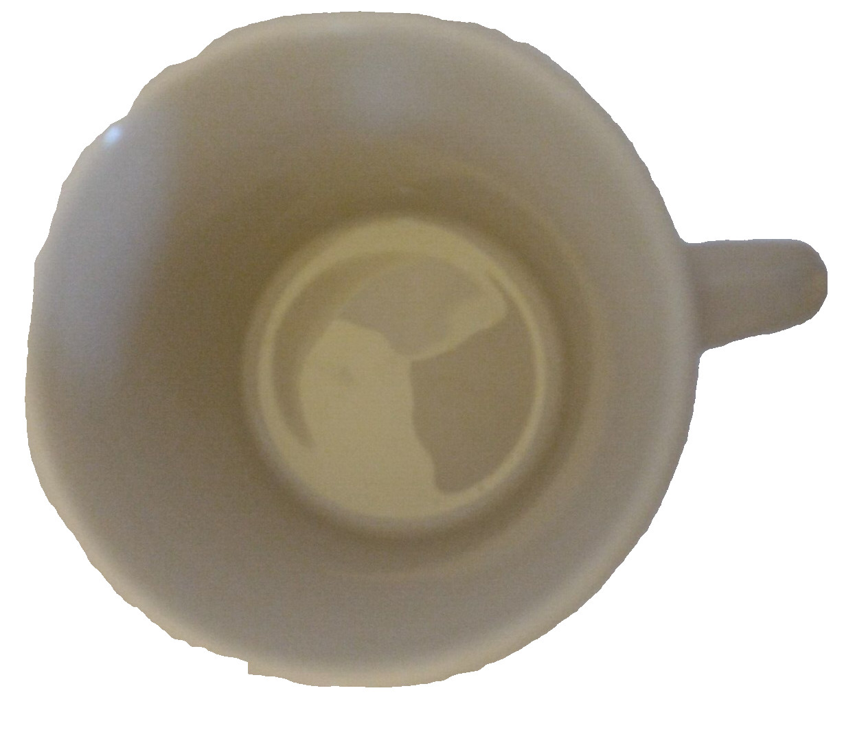 Vintage Retired Petrified Forest National Park Coffee Mug Made In England.