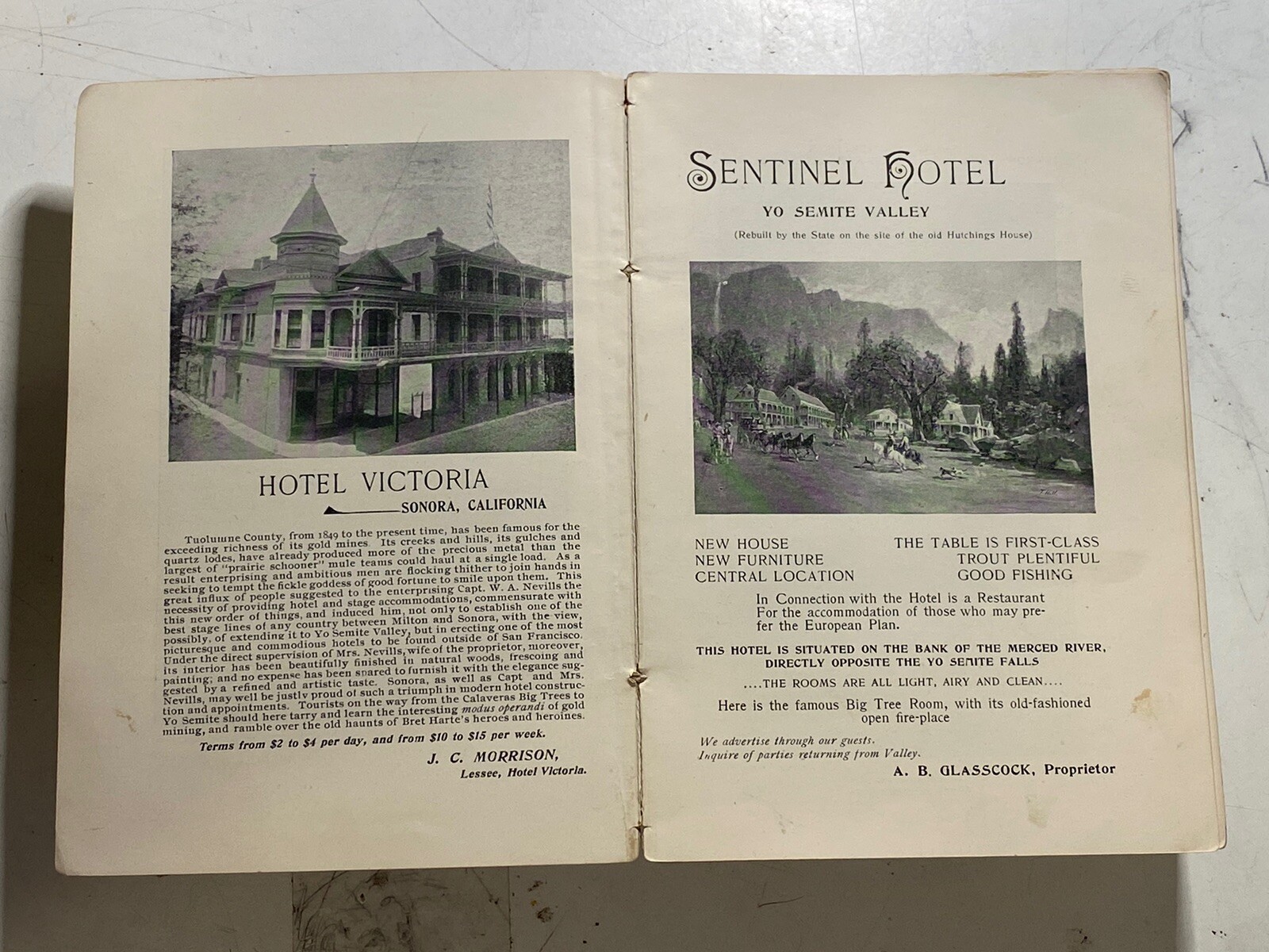 J.M. Hutchings Guide “YOSEMITE and BIG TREES of CA” 1894 W/ MAP National Park
