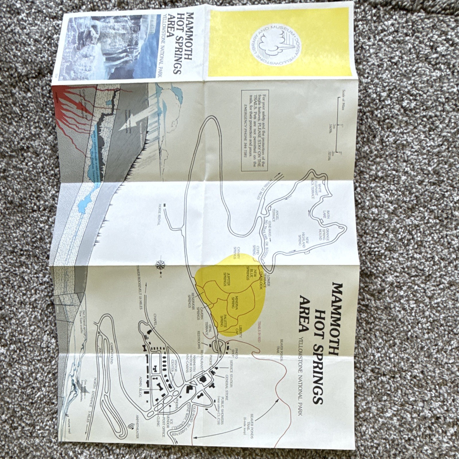 13 Yellowstone & Grand Teton National Park Fold-Out Maps/Brochures 1972-77.