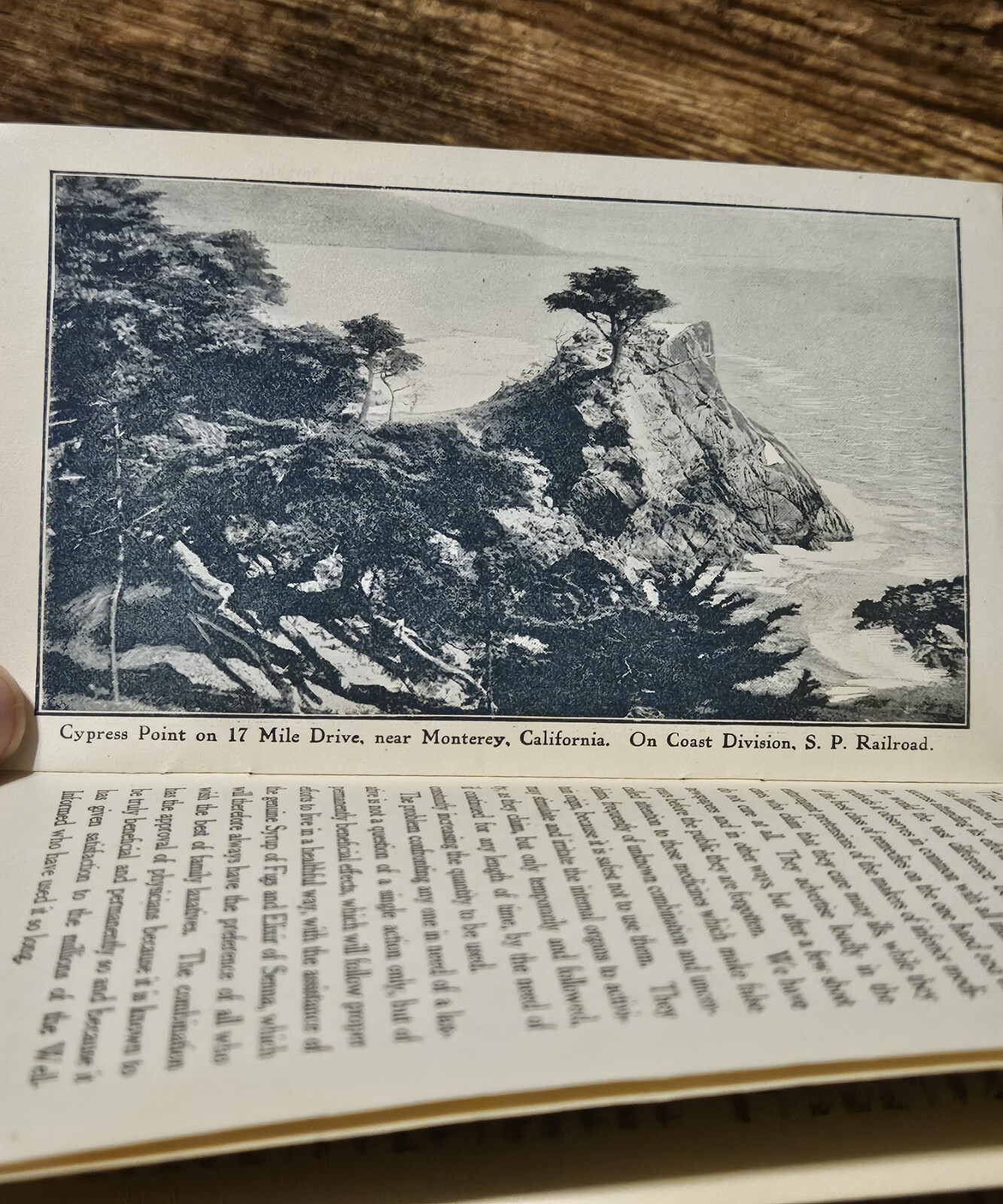 c1900 California Fig Syrup Travel Brochure Yosemite Lake Tahoe Shasta Santa…
