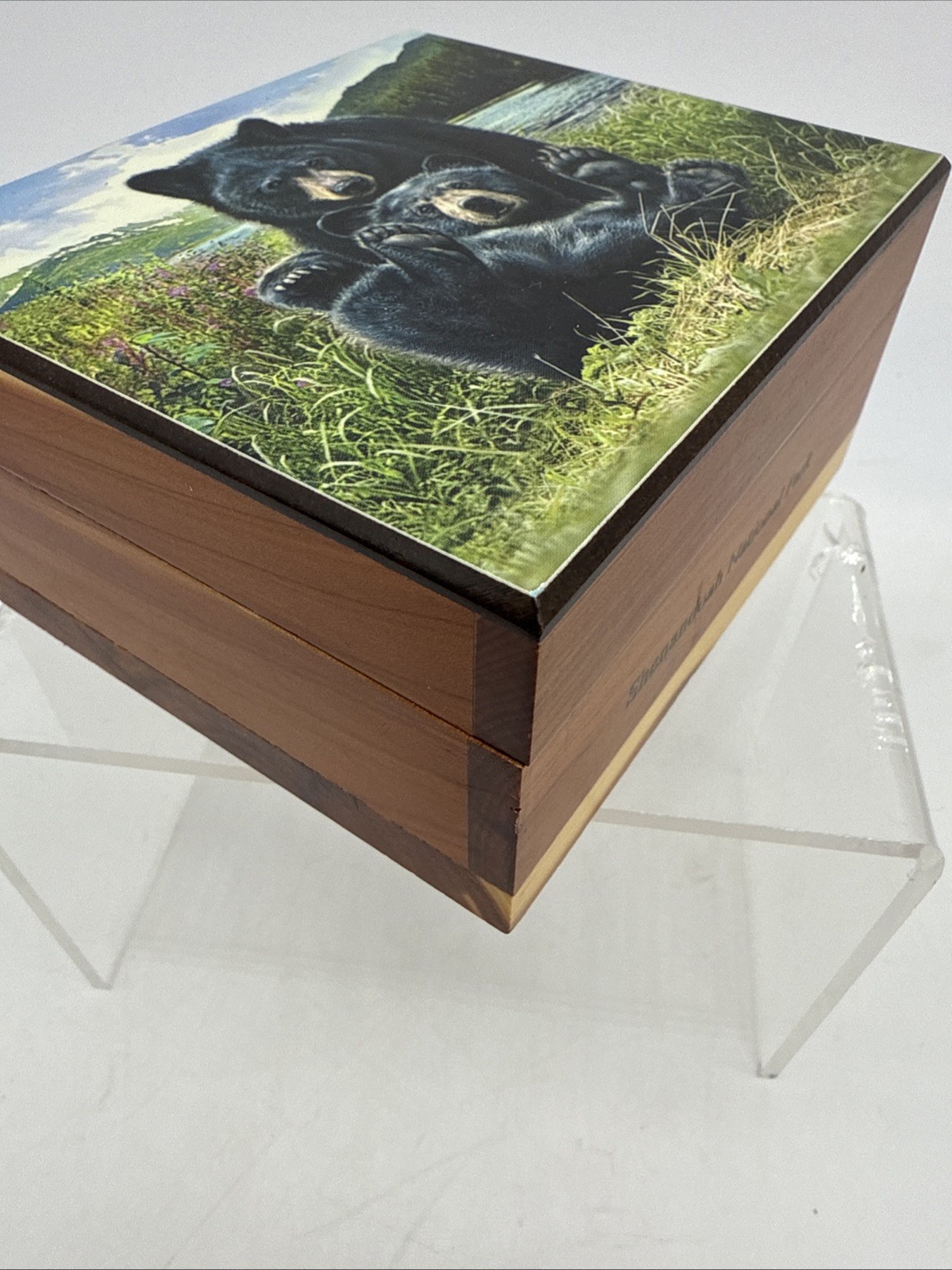 Vintage Shenandoah National Park Cedar Box Bear Theme Nature Wood Souvenir