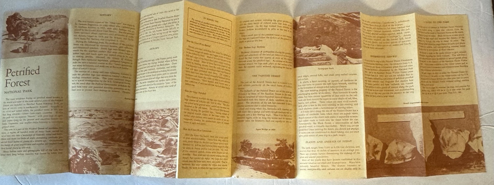 Vintage 1963 The Petrified Forrest National Park Arizona Travel Brochure