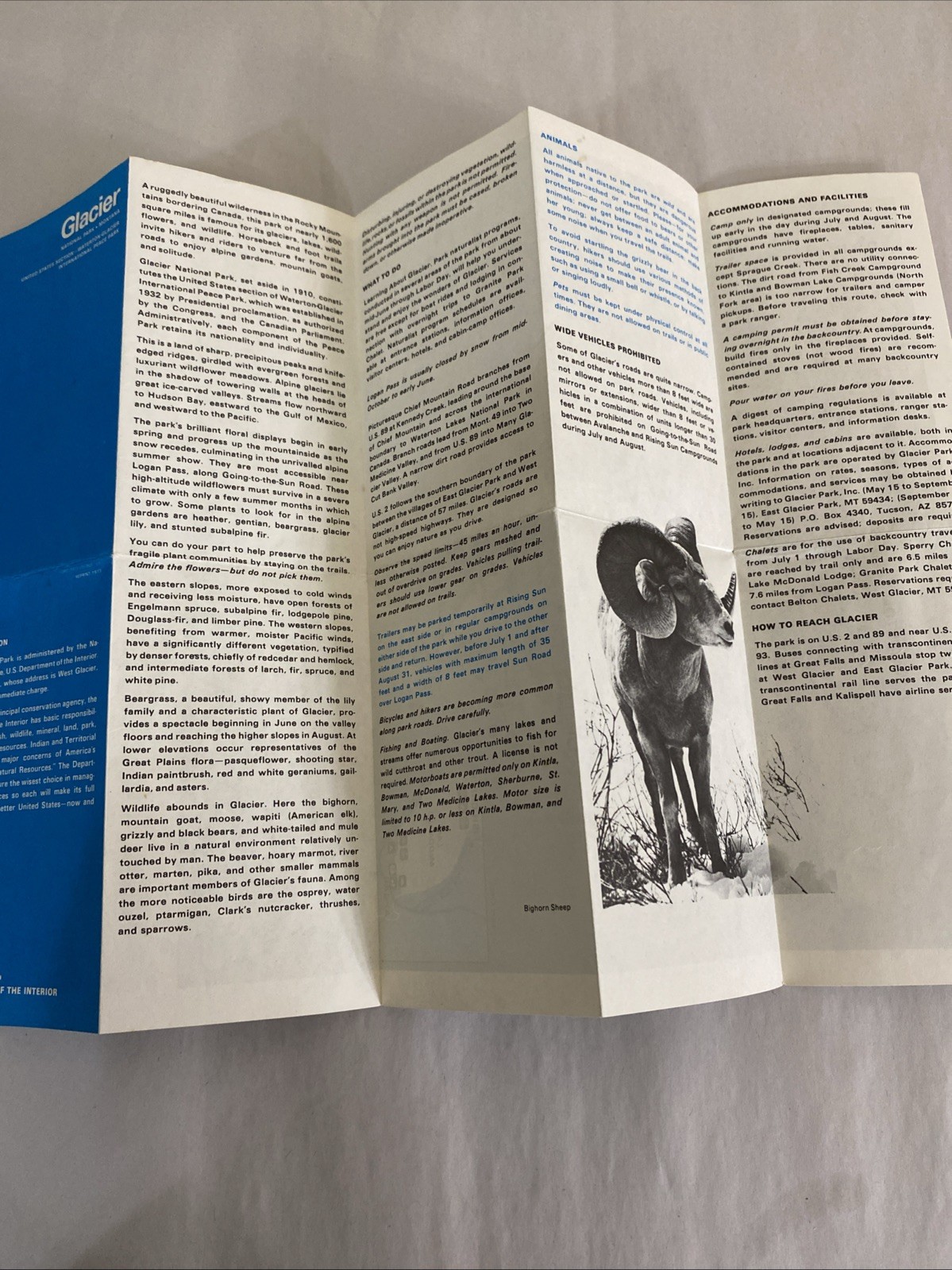 1974 Glacier National Park Ephemera Lot: Brochure Map + Camping Permit Notes