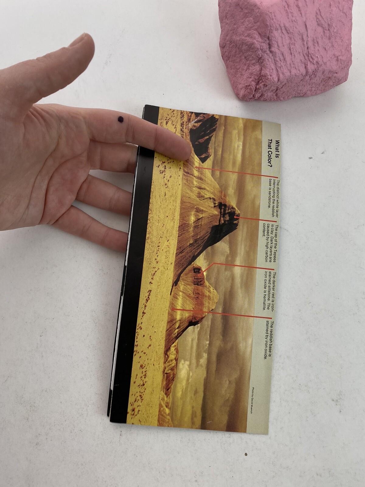 1992 Petrified Forest National Park Official Map and Guide Arizona