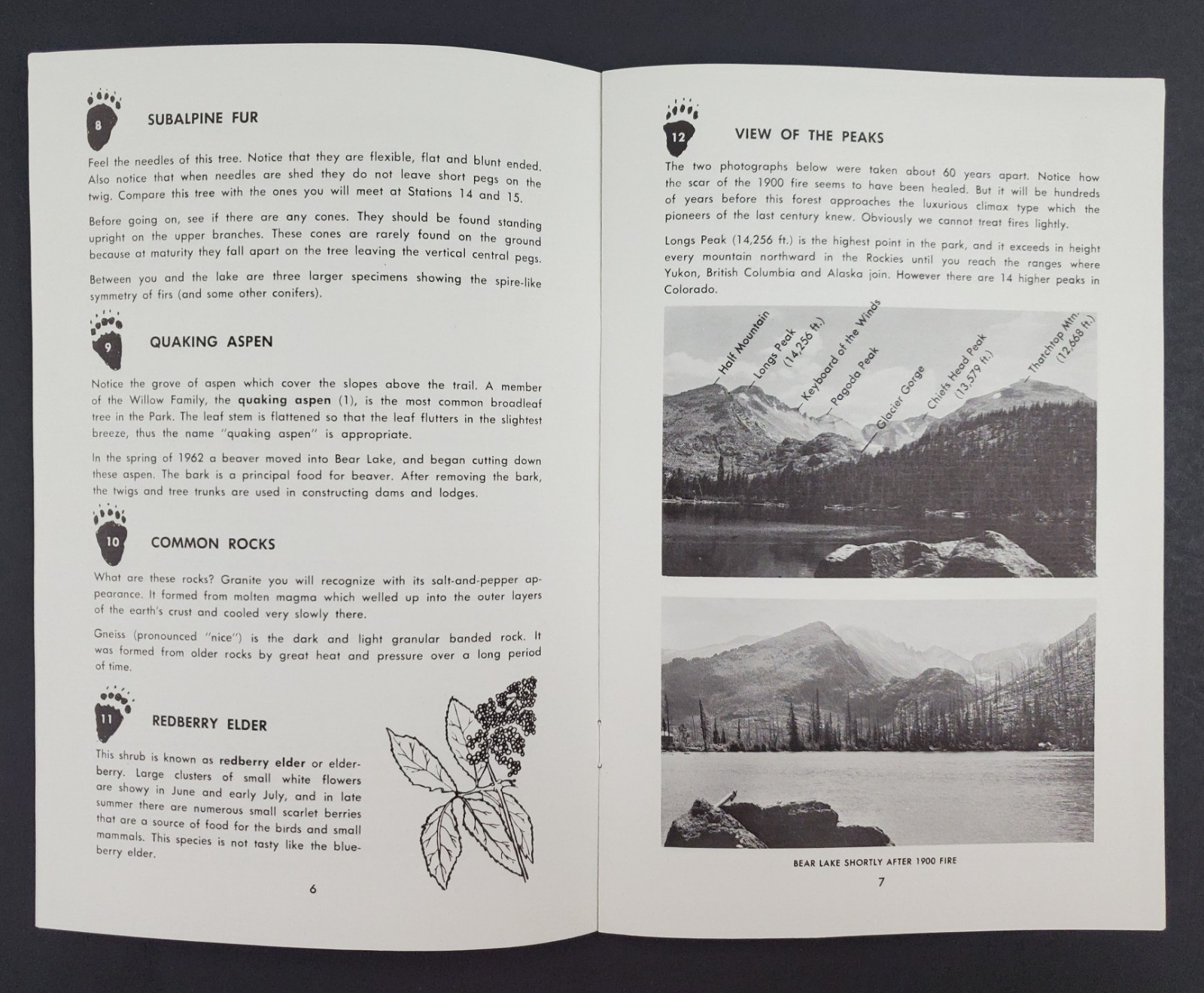 1962 Bear Lake Nature Trail Guide Rocky Mountain Park Vintage Travel Booklet