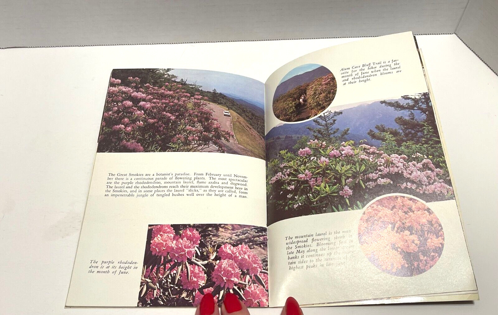 Vintage The Great Smoky Mountains National Park Booklet 1966 W.M. Cline Co.