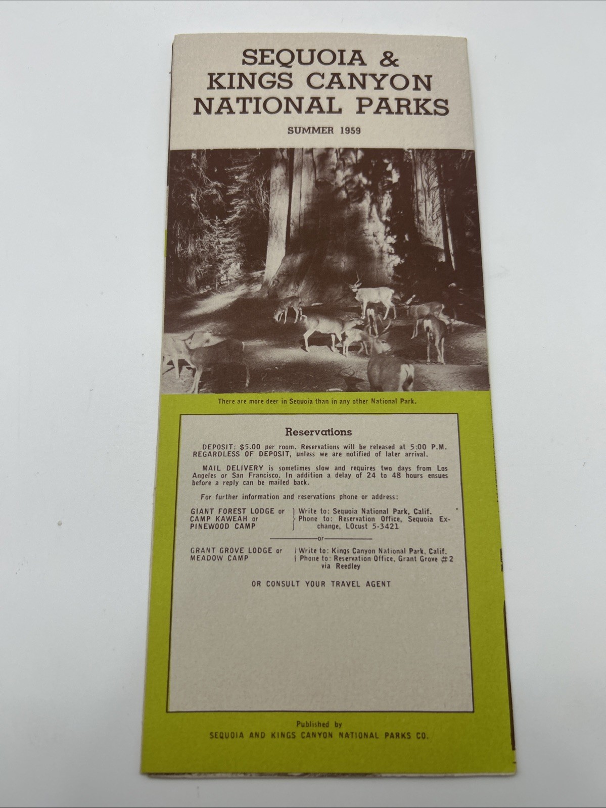 1959 Sequoia & Kings Canyon National Park Vintage Travel Brochure California